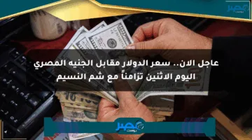 عاجل الآن.. سعر الدولار مقابل الجنيه المصري اليوم الاثنين تزامناً مع شم النسيم